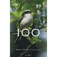 あした出会える野鳥１００   /山と渓谷社/柴田佳秀